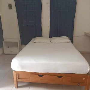 Colibri Playa del Carmen